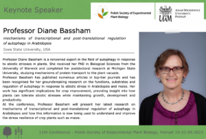 Short note about Diane Bassham